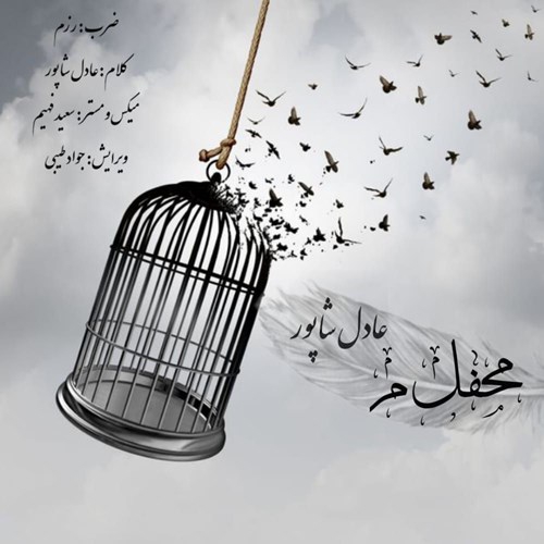 عادل شاپور محفل میم
